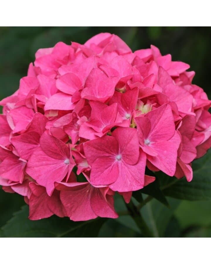 3 Kostenlose Horrortensien