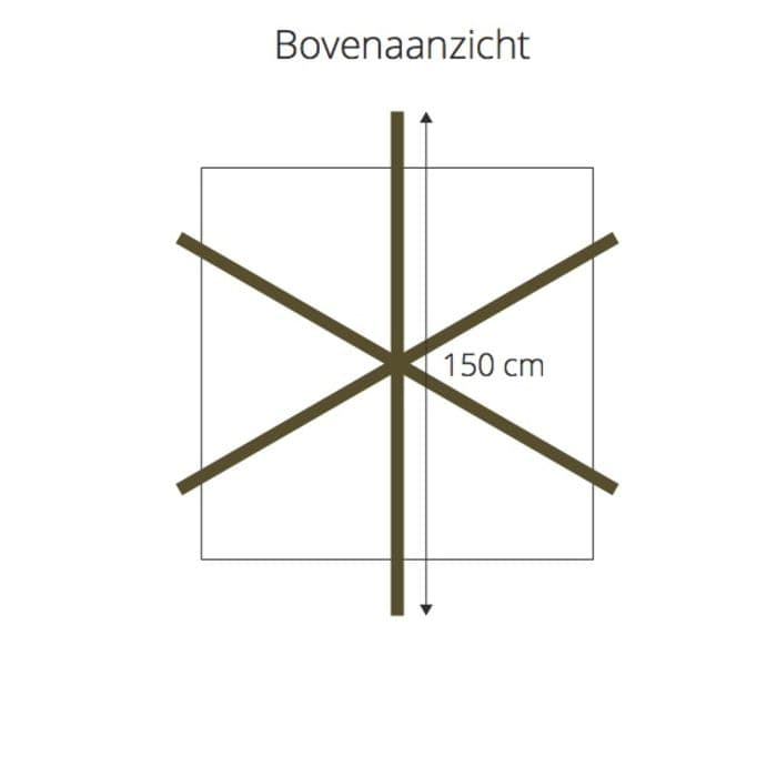 Dach-Maulbeerenbäume
